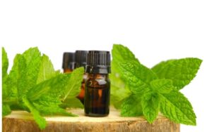 Peppermint Oil: Best Essential Oils for Oral Health