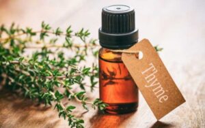 Thyme Oil: Best Essential Oils for Oral Health