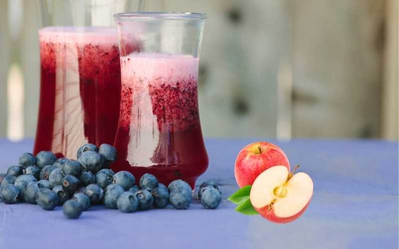 05 Best Berry Juice Recipes For Weight Loss Lifestylic Easy LifeStyle