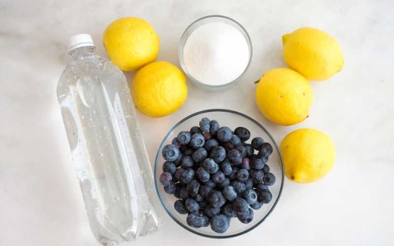 05 Best Berry Juice Recipes For Weight Loss Lifestylic Easy LifeStyle